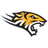 Towson Tigers