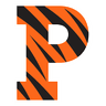 Princeton Tigers